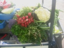 Miraflores: Gem�sestand an der Kreuzung
                          Porta / Manco Capac, Kr�uter, Radieschen,
                          Blumenkohl