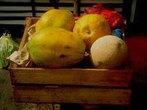 Fr�chte in einer Kiste: Papaya und
                          Melone