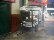 Miraflores, Avenida Palma, Avocadostand,
                          Hinteransicht