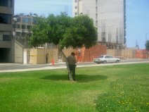 Miraflores, Malecon 28 de Julio,
                          schlafender Polizist
