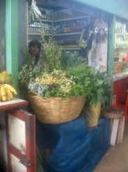 Surquillo, Avenida Paseo de la Republica,
                          Markthalle, Kr�uterstand (leider nicht so
                          scharfes Foto)