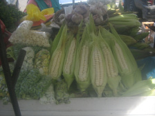 Surquillo, Avenida Paseo de la Republica, Marktstand
            mit weissem Mais
