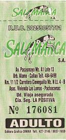 Schwarz-grnes Busbillet der Busfirma
                        "Salamanca SA" mit Minicombis, Linie
                        S,