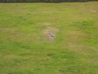 Machu Picchu, plaza central, el c�sped 03, piedra
                  sagrada falta