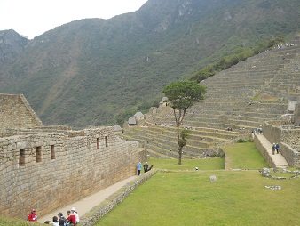 Machu Picchu: Vista de
                    la plataforma superior al muro grande con la plaza
                    central, con el �rbol y con el sector agricola