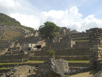 Vista al templo del sol, a la cantera y el
                    �rbol