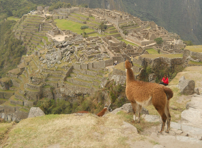 vicu�a con Machu Picchu (cantera
                    grande, templos, pir�mide del sol, zona de la piedra
                    sagrada, casitas de obra, plaza central, templo de
                    espejos o morteros, muros grandes, prisi�n en forma
                    de un �guila)