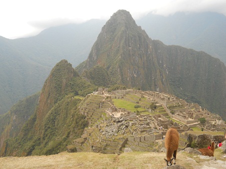 Vicu�a con Machu Picchu (miradores Huchuypicchu
                    y Huaynapicchu, cantera grande, templos, pir�mide
                    del sol, zona de la piedra sagrada, casitas de obra,
                    plaza central, templo de espejos o morteros, muros
                    grandes, prisi�n en forma de un �guila)