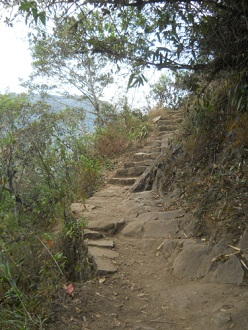 Camino al mirador Huaynapicchu, camino con
                    escaleras