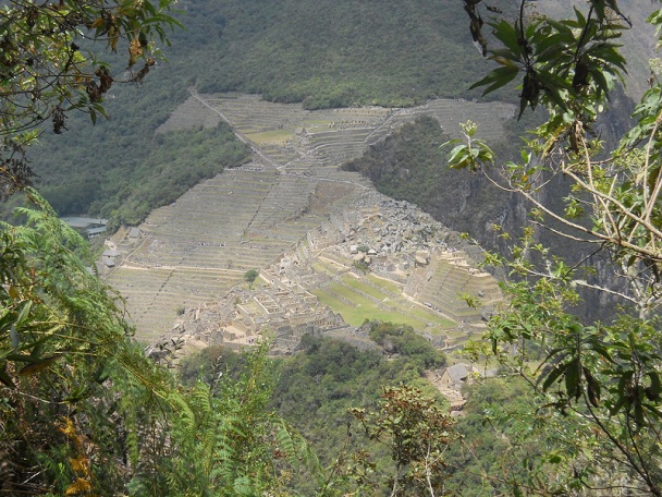 Camino al mirador Huaynapicchu, vista a Machu
                    Picchu 01