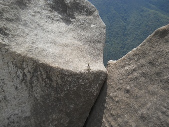 La punta del mirador Huaynapicchu, piedras
                    gigantes cortadas de la cantera de la punta, primer
                    plano - y un lagarto