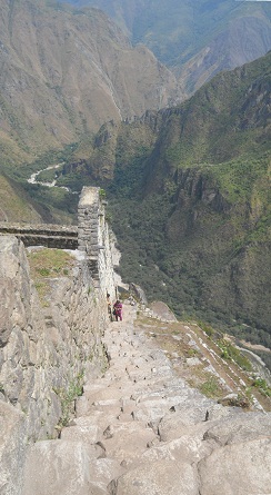 Bajada de Huaynapicchu: escalera
                            escarpada irregular con vista panor�mica