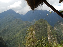 Bajada de Huaynapicchu, la monta�a Putucusi