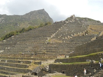 Machu Picchu, sector agrcola con
                                terrazas con montaas al fondo