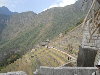 Terrassen ohne Ende im Landwirtschaftssektor, Nahaufnahme 01