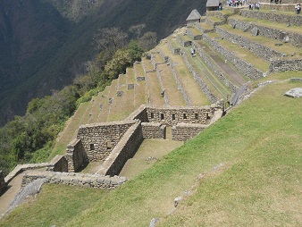 Terrassen ohne Ende im Landwirtschaftssektor, Nahaufnahme 02