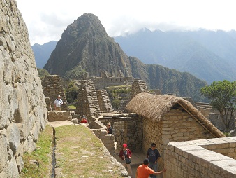 Kan�lchen auf einer Terrasse