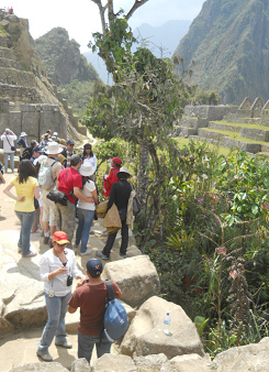 Machu-Picchu-Touristen am botanischen Garten