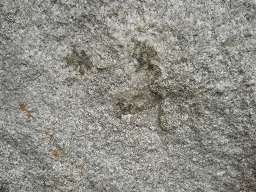 Der grosse Steinbruch von Machu Picchu: Auf
                    einem Stein ist eine Windrose eingeritzt -
                    Nahaufnahme