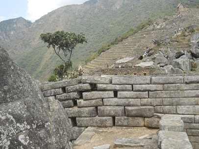 Machu Picchu, Meditationszimmer: Die Sicht �ber
                    die Seitenmauer mit dem Baum und Terrassen des
                    Landwirtschaftssektors mit dem Pausenh�uschen oben