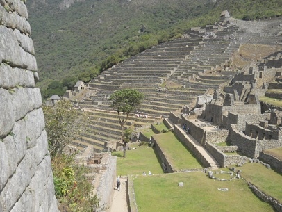 Machu Picchu: Zentralplatz mit Baum und Landwirtschaftsbereich