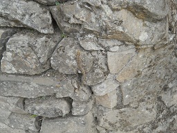 Machu Picchu, Arbeitsh�user, und eine Eidechse