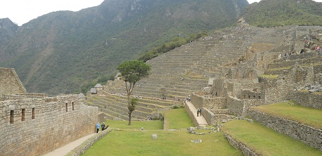 Machu Picchu: Sicht von der oberen Plattform auf die grosse Mauer, Baum und Landwirtschaftssektor