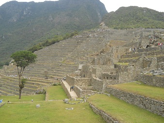 Machu Picchu, Sicht auf die grosse Mauer mit Zentralplatz mit Baum und Landwirtschaftssektor
