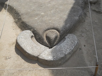 Der Condor-Adlerkopf am Boden - Nahaufnahme 02 Der Condor-Adlerkopf am Boden - Nahaufnahme 02