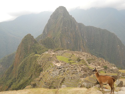 Vicunia mit Machu Picchu 04 (Steinbruch,
                    Tempelanlagen, Sonnenpyramide, der Weiler mit dem
                    heiligen Stein, Arbeiterh�uschen, Zentralplatz,
                    Spiegeltempel oder M�rsertempel, die grosse Mauer,
                    das Adlergef�ngnis oder der Adlertempel)