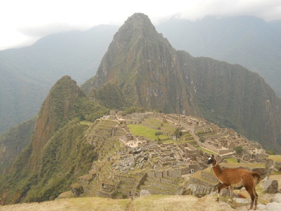 Vicunia mit Machu Picchu 05 (Steinbruch,
                    Tempelanlagen, Sonnenpyramide, der Weiler mit dem
                    heiligen Stein, Arbeiterh�uschen, Zentralplatz,
                    Spiegeltempel oder M�rsertempel, die grosse Mauer,
                    das Adlergef�ngnis oder der Adlertempel)