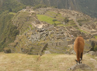 Vicunia mit Machu Picchu 06 (Steinbruch,
                    Tempelanlagen, Sonnenpyramide, der Weiler mit dem
                    heiligen Stein, Arbeiterhuschen, Zentralplatz,
                    Spiegeltempel oder Mrsertempel, die grosse Mauer)