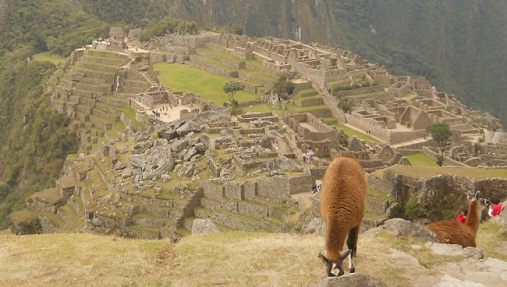 Vicunia mit Machu Picchu 07 (Steinbruch,
                    Tempelanlagen, Sonnenpyramide, der Weiler mit dem
                    heiligen Stein, Arbeiterhuschen, Zentralplatz,
                    Spiegeltempel oder Mrsertempel, die grosse Mauer,
                    das Adlergefngnis oder der Adlertempel)