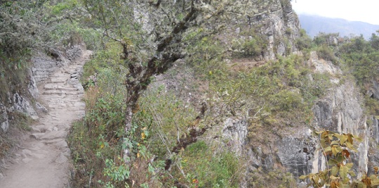 Machu Picchu, Spaziergang zur Inkabr�cke, die
                    Felsw�nde gehen senkrecht abw�rts, Panoramafoto