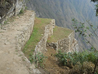 Machu Picchu, Spaziergang zur Inkabr�cke,
                    Landwirtschaftsterrassen