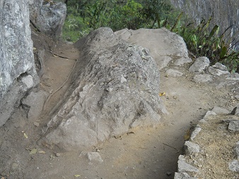 Machu Picchu, Spaziergang zur Inkabr�cke, nun
                    geht pl�tzlich abw�rts 02