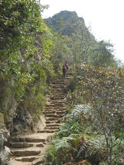 Spaziergang zum Hausberg Huaynapicchu, Treppen
                    mit dem Hausberg Huaynapicchu im Hintergrund