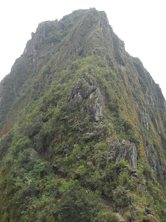 Wanderweg zum grossen Hausberg Huaynapicchu,
                    Sicht auf die Spitze, Nahaufnahme