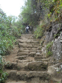 Wanderweg zum grossen Hausberg Huaynapicchu,
                    unregelm�ssige Treppe