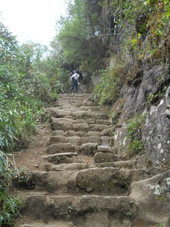 Wanderweg zum grossen Hausberg Huaynapicchu,
                    unregelmssige Treppe