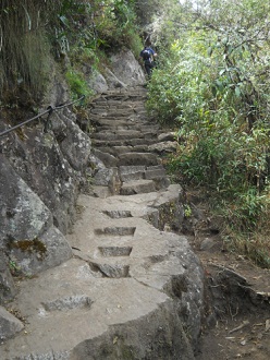 Wanderweg zum Hausberg Huaynapicchu, herausgeschlagene
            Treppe in einem St�ck in einem geschnittenen Fels 1
