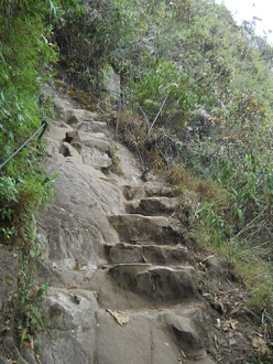 Wanderweg zum Hausberg Huaynapicchu,
                    herausgeschlagene Treppe in einem St�ck in einem
                    geschnittenen Fels 2