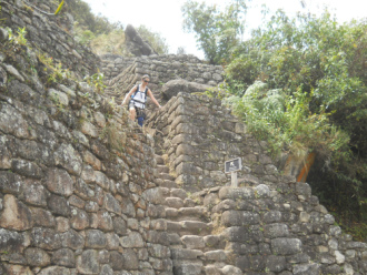Weiler
Huaynapicchu, unregelmässige Treppen und Terrassen -
und sportliche Touristen Weiler Huaynapicchu, unregelmässige Treppen und
Terrassen - und sportliche Touristen
