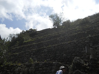 Weiler Huaynapicchu, Landwirtschaftsterrassen
                    02