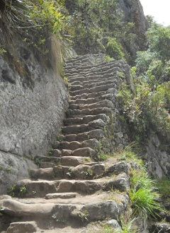 Aufstieg zum Gipfel Huaynapicchu - noch eine
                    unregelm�ssige Treppe
