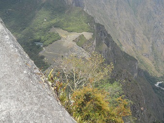 Berggipfel Huaynapicchu mit dem Steinbruch mit
                    geschnittenen Gigasteinen, ein Strauch
