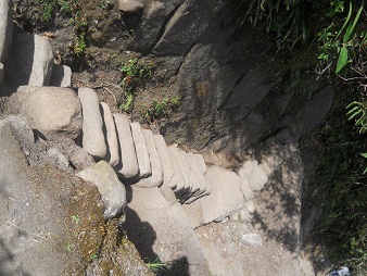Abstieg von Huaynapicchu, unregelmssige, lange
                    Treppe fr kleine Fsse - da fehlt ein
                    Sicherungsseil 02
