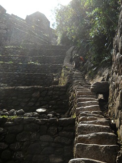 Der Abstieg von Huaynapicchu, steile,
                    unregelm�ssige Treppe mit Touristen auf allen Vieren
                    - da fehlt ein Sicherheitsseil