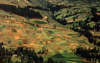 Valle del Mantaro con campos
                        agr�colas en pendientes