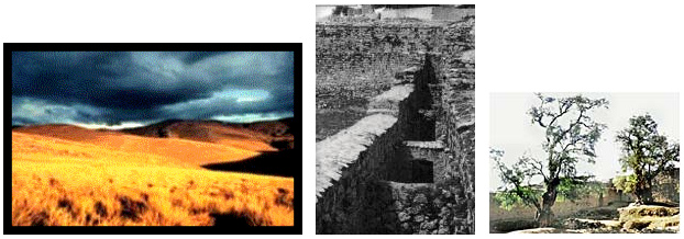 Geschichte der Wankas Kap.1-3:
                                Gelbe Felder, Ruine von Wariwillka,
                                Peruanische Pfefferb�ume